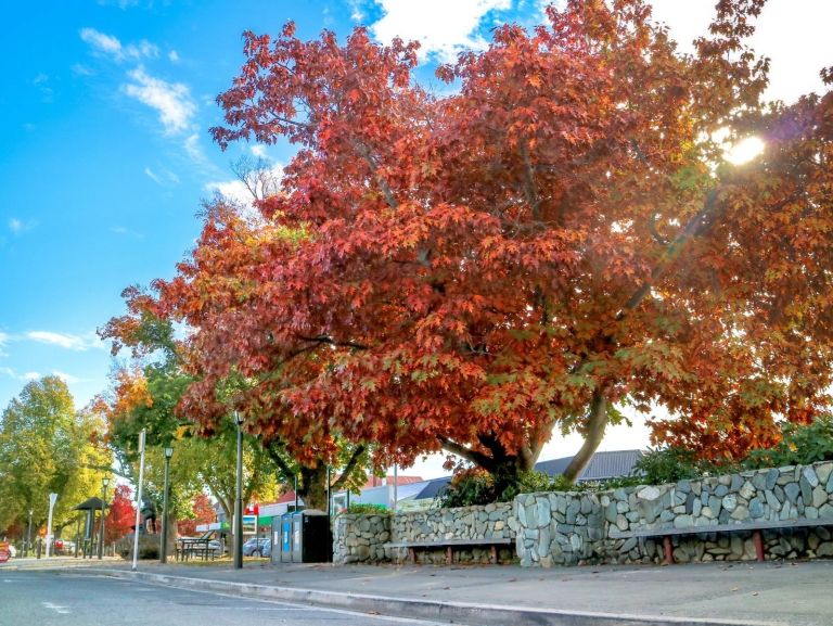 Autumn